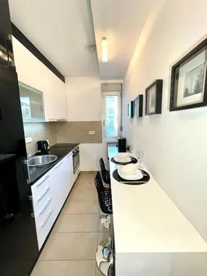 a kitchen with a sink and a counter top at Regina Vracar apartment and garage in Vračar (historical)