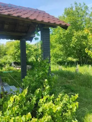 a gazebo with a roof on top of a bush at Villa Salter in Belgrade