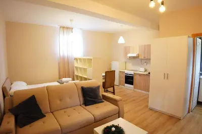a living room with a couch and a kitchen at Apartmani Kula Novi Banovci Svetosavska 137 in Belgrade