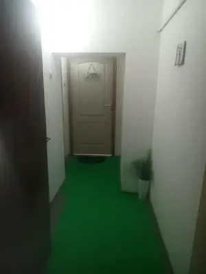 a hallway with a door and a green floor at Small low cost Dorcol in Belgrade