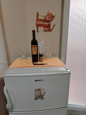 a bottle of wine sitting on top of a refrigerator at Apartman PRAMAC in Belgrade