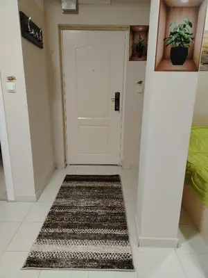 a hallway with a white door and a rug at PRAMAC - stan na dan in Belgrade