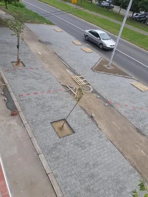 a road being construction with a tree in the middle at Double Lux Aparrment A1 in Pancevo in Pančevo