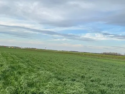 a large field of green grass with a cloudy sky at Appartement 2 chambres et 1 salon près de l'aéroport de Belgrade in Belgrade