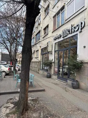 a tree in front of a store on a street at Apartman Knez in Belgrade