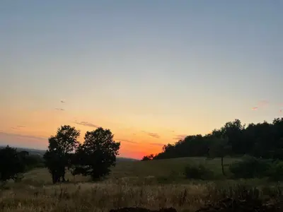 a sunset in a field with trees on a hill at Forest View Apartment in Rogača
