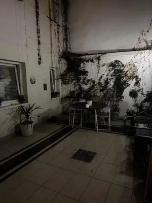 a room with a table and potted plants on the wall at BelgradeCenterVibe in Belgrade