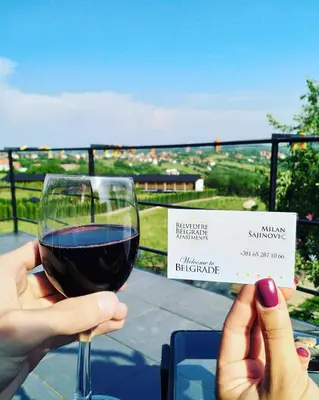 a person holding up a glass of wine at Belvedere Skadarska Apartment in Belgrade