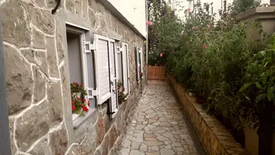 a stone alley with plants and windows and flowers at Apartment Dedinje Hill 2 in Belgrade