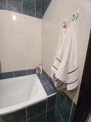 a bathroom with a tub and towels hanging on a wall at Luna Apartment in Surčin
