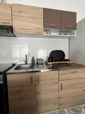 a kitchen with a sink and wooden cabinets at Delete 5 - Zemunske Kapije in Belgrade