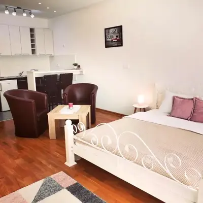 VIKONT studio apartment with parking 5 eur per day