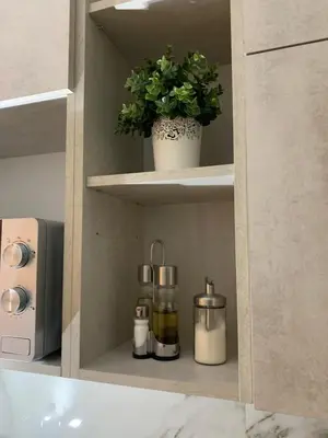 a shelf with bottles and a potted plant on it at DM apartman Beograd in Vračar (historical)