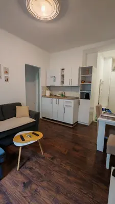 a living room with a couch and a table at ZELENI VENAC Studio & Apartment in Belgrade