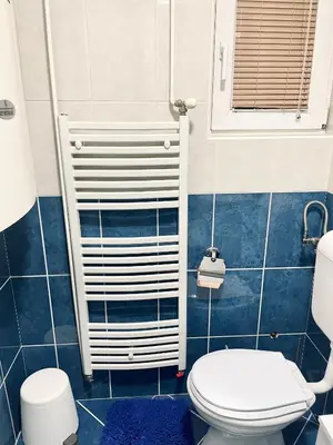 a bathroom with a white toilet and blue tiles at Apartman Bloom in Novi Grad