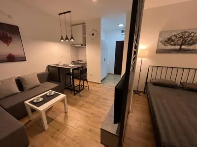 a living room with a couch and a table at Apartment 55 Belgrade in Belgrade